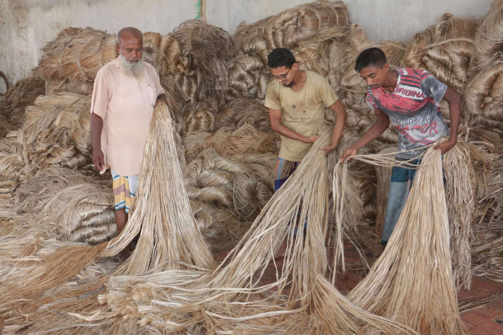 Golden fiber